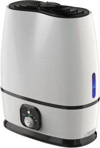 Everlasting Comfort (6L) Filterless Ultrasonic Design Humidifiers for Bedroom