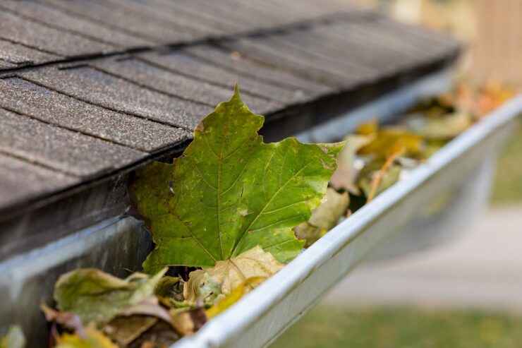 Clean Your Gutters