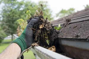 Clean Your Gutters