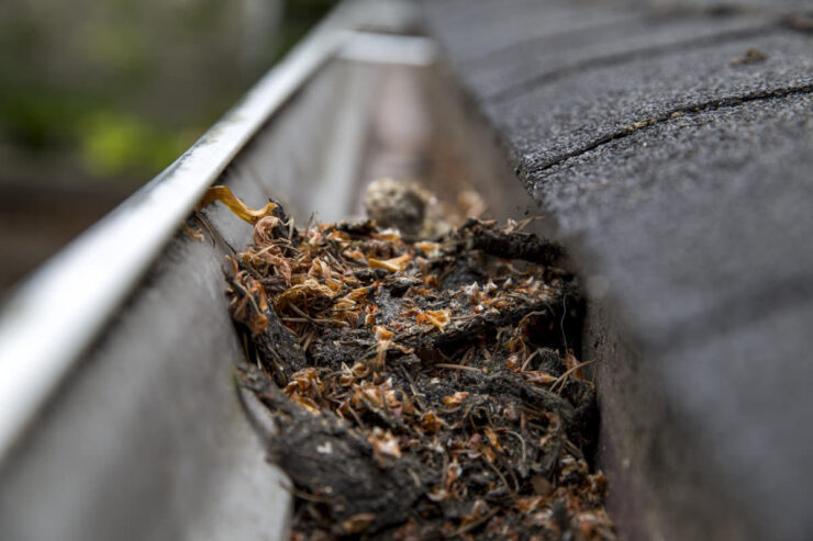 clean your gutters